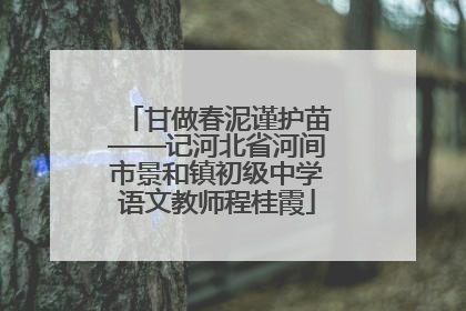 甘做春泥谨护苗——记河北省河间市景和镇初级中学语文教师程桂霞
